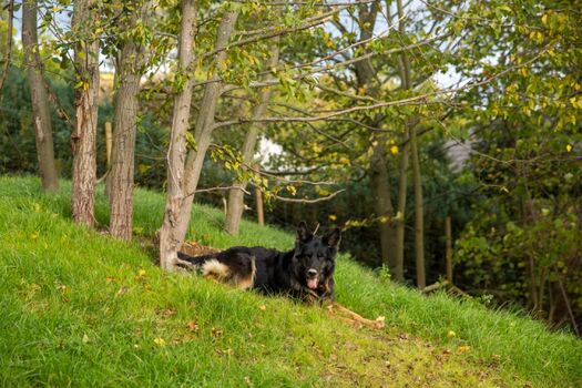 eingezäuntes Grundstück