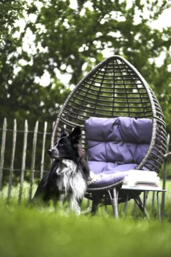 Für Hundebesitzer ein Paradies – Ihre Hunde werden den Aufenthalt lieben. Kein anderes meiner Häuser hat so viele Stammgäste.