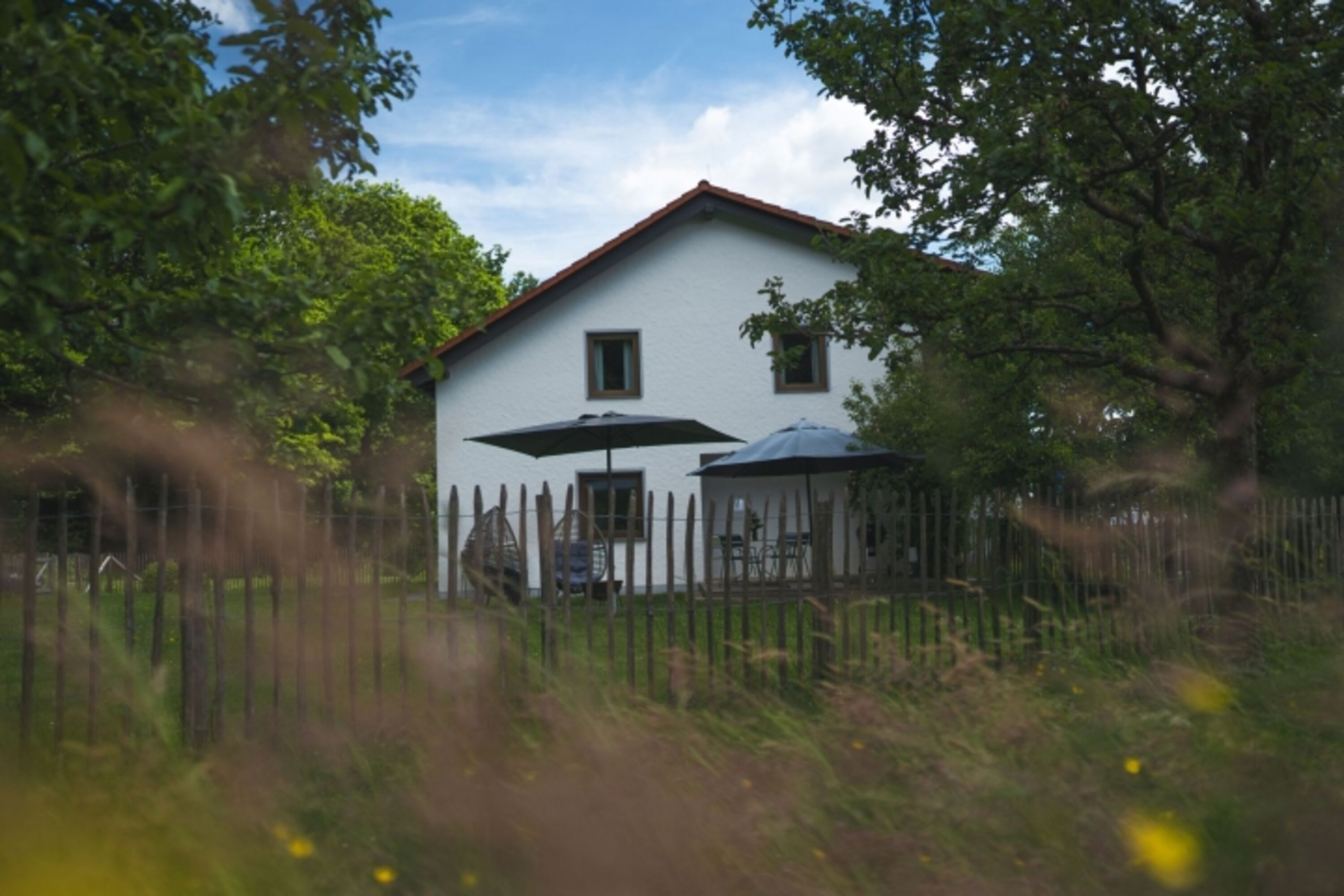 Bild 24