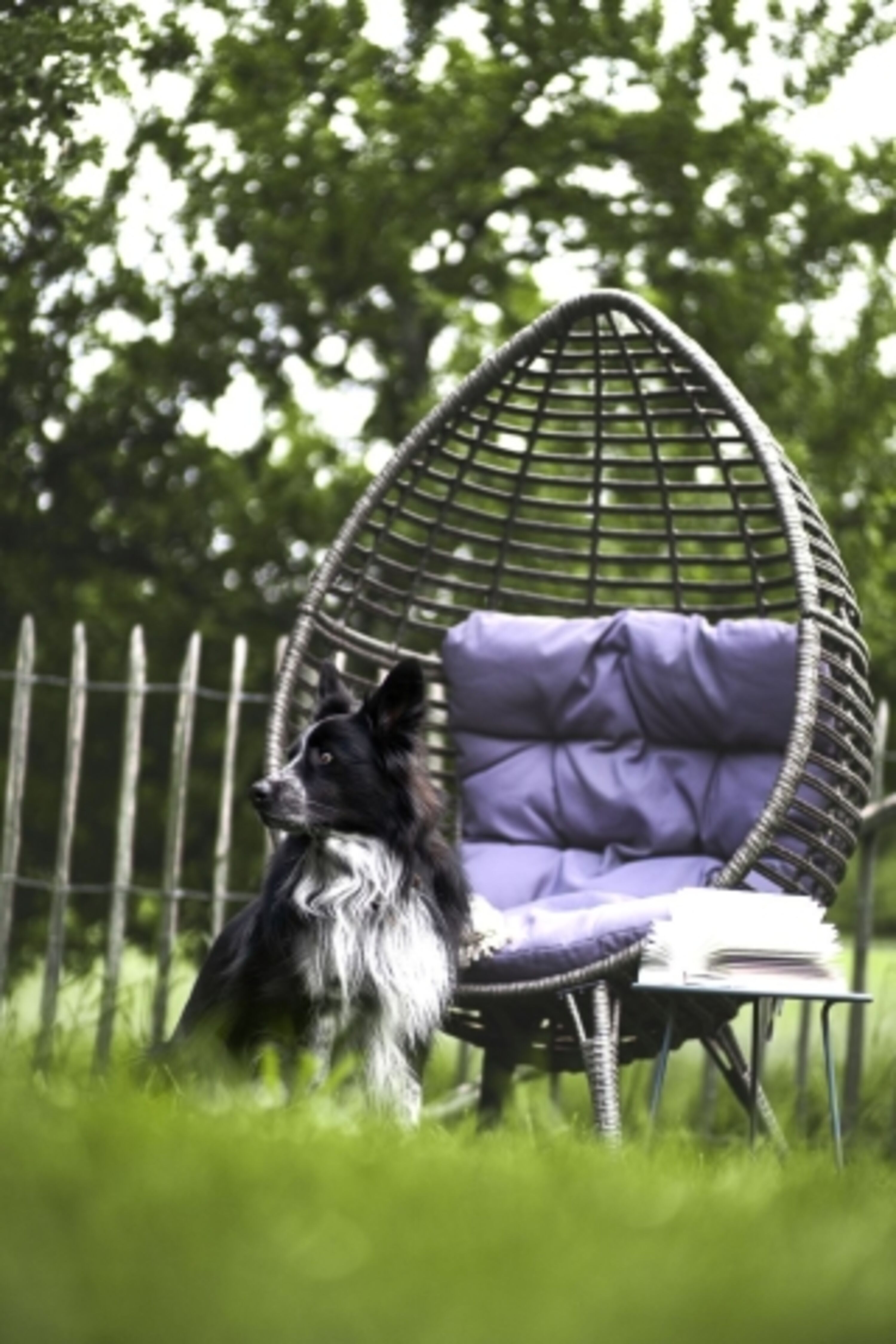 Für Hundebesitzer ein Paradies – Ihre Hunde werden den Aufenthalt lieben. Kein anderes meiner Häuser hat so viele Stammgäste.