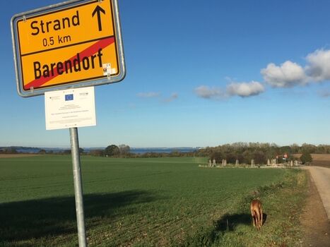 Weg zum Natur- u. Hundestrand
