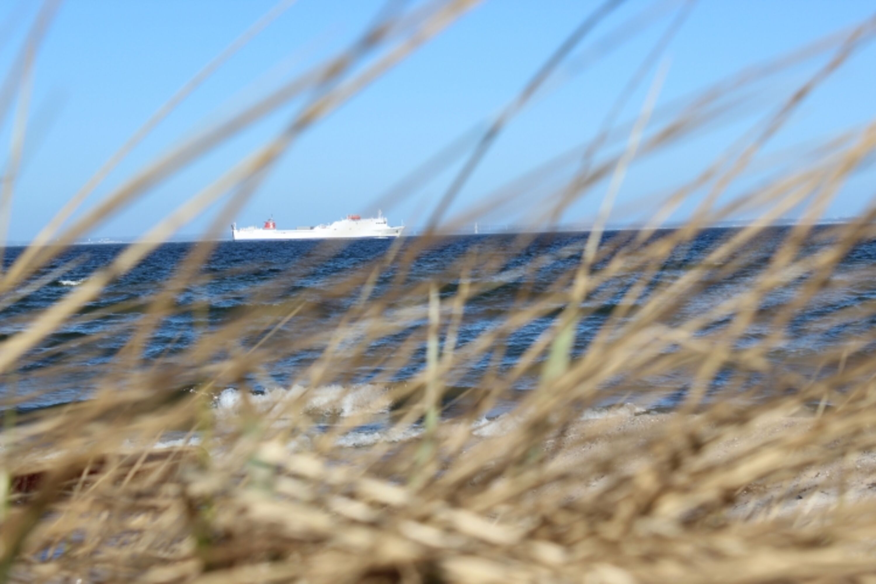 Strand