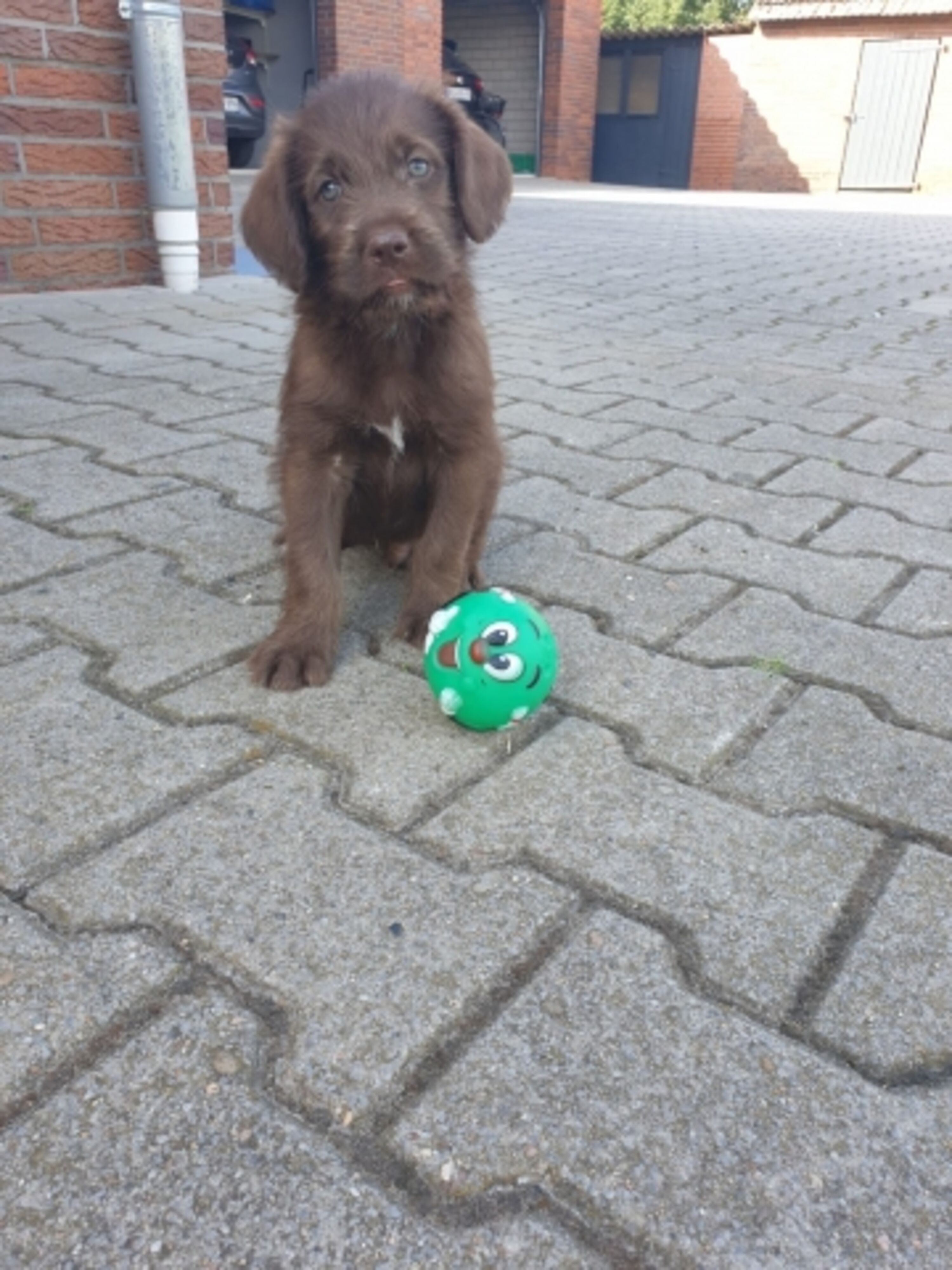 Bild 16