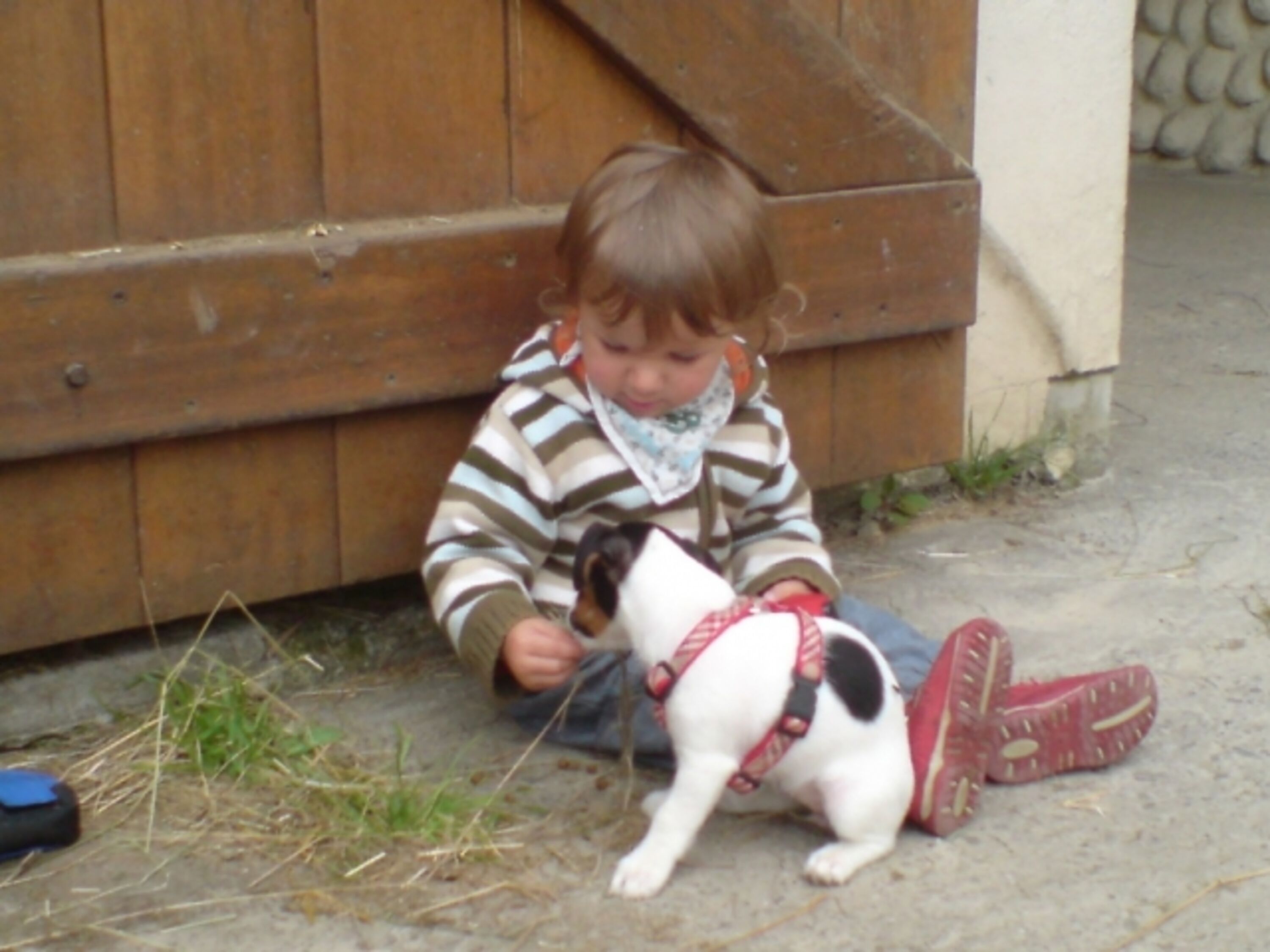 Bild 17