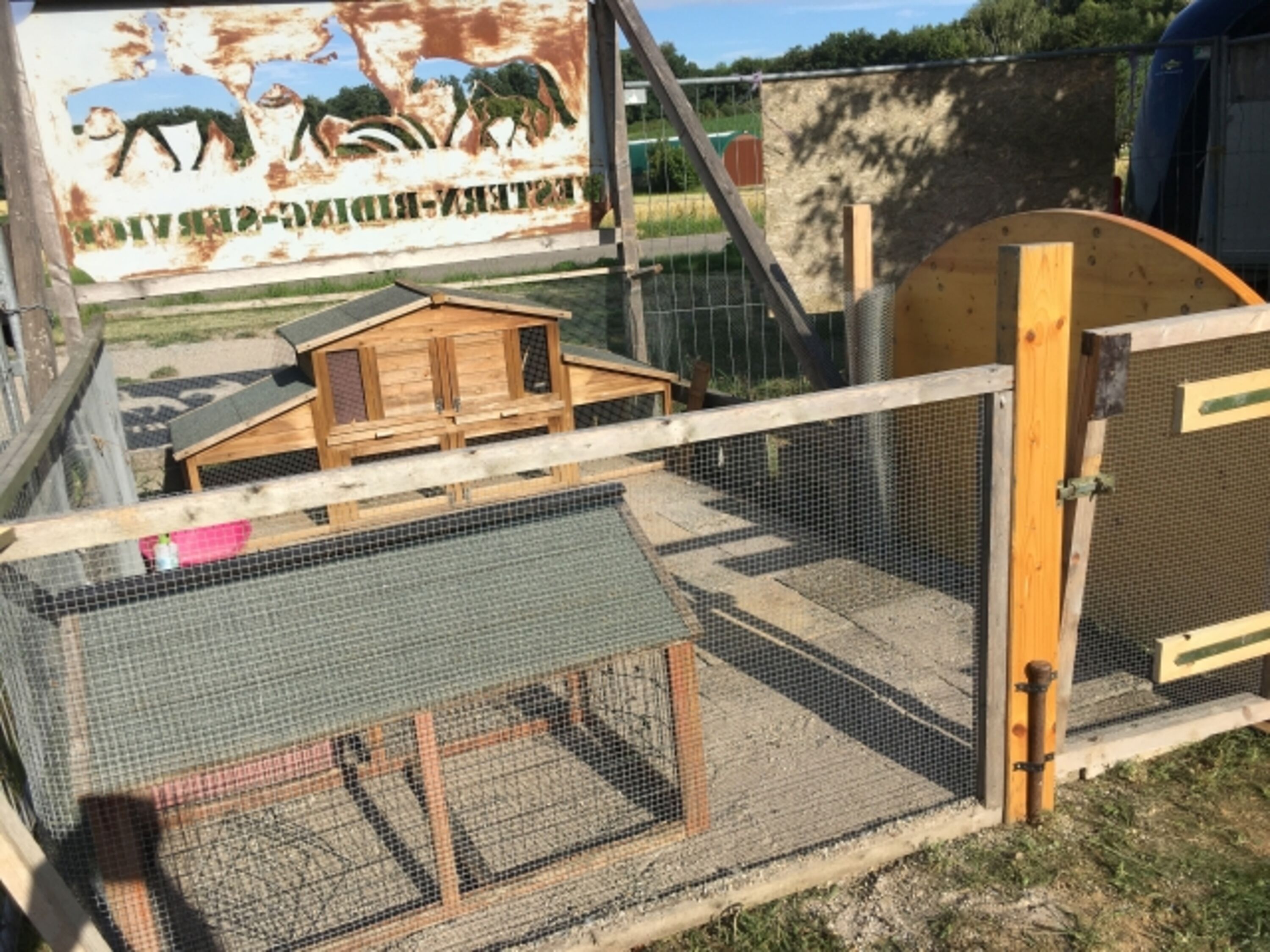 Bild 12