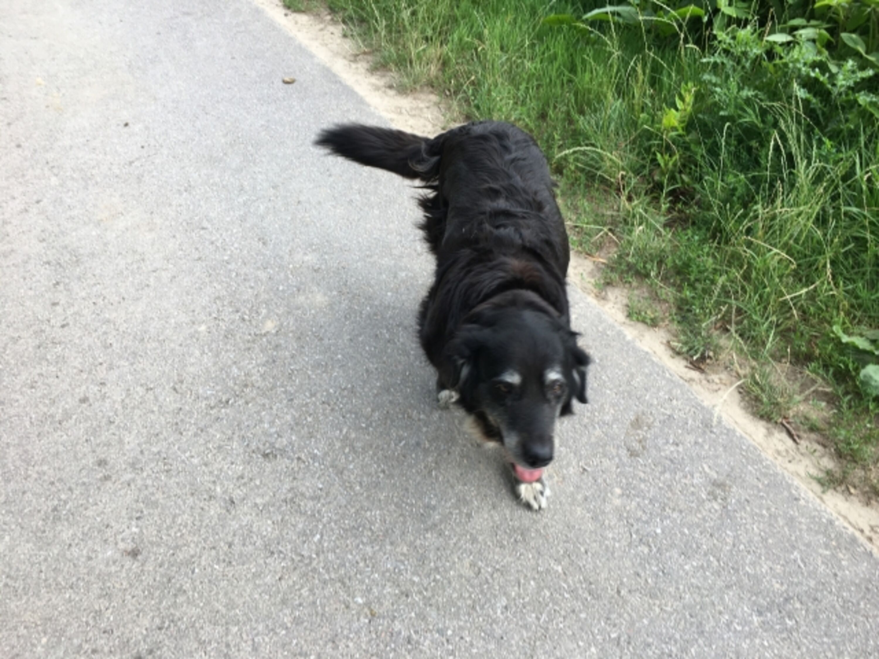 Bild 19