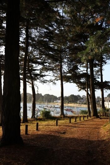 Küstenweg 100m entfernt vom Haus