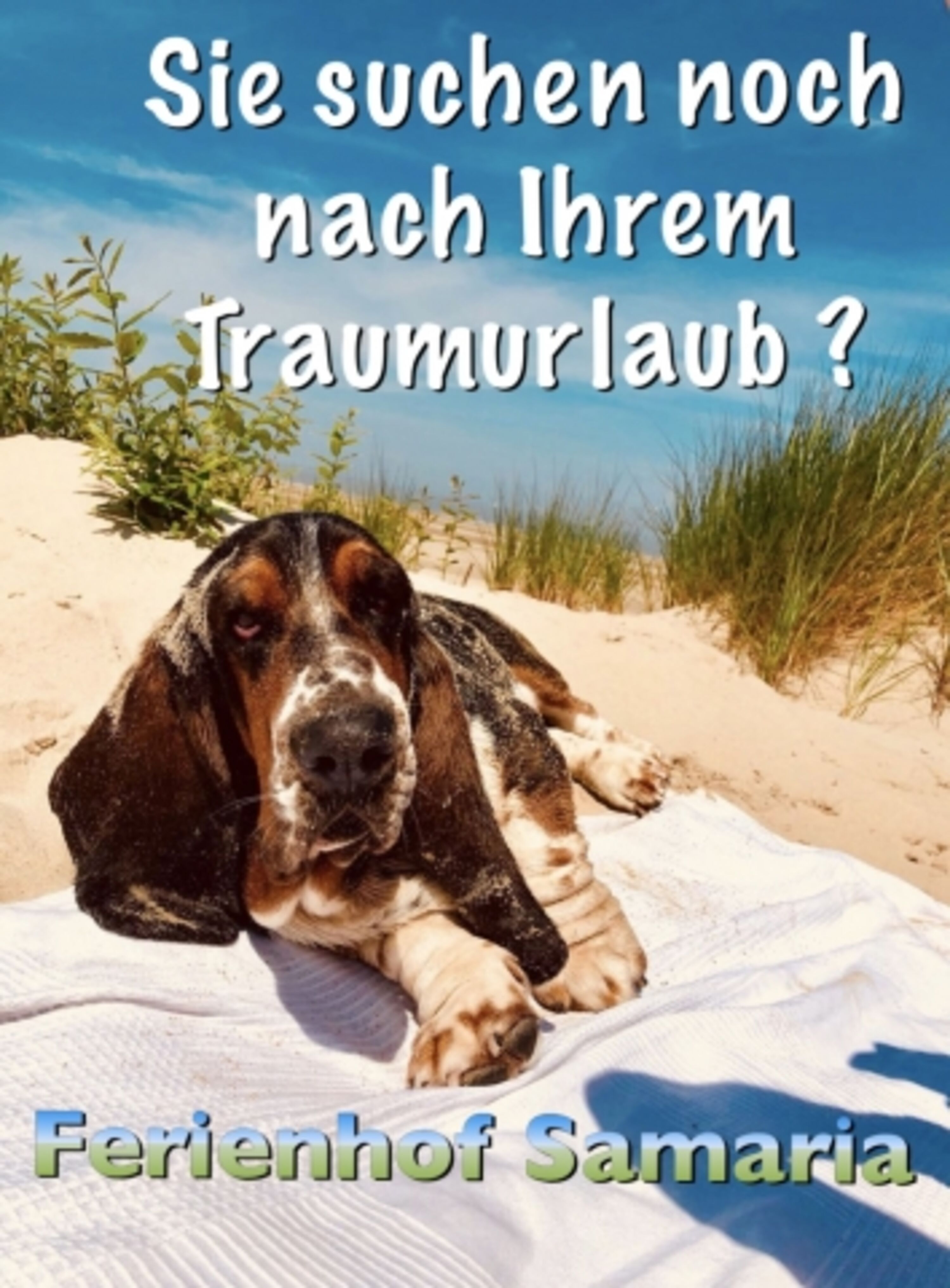 Bild 30