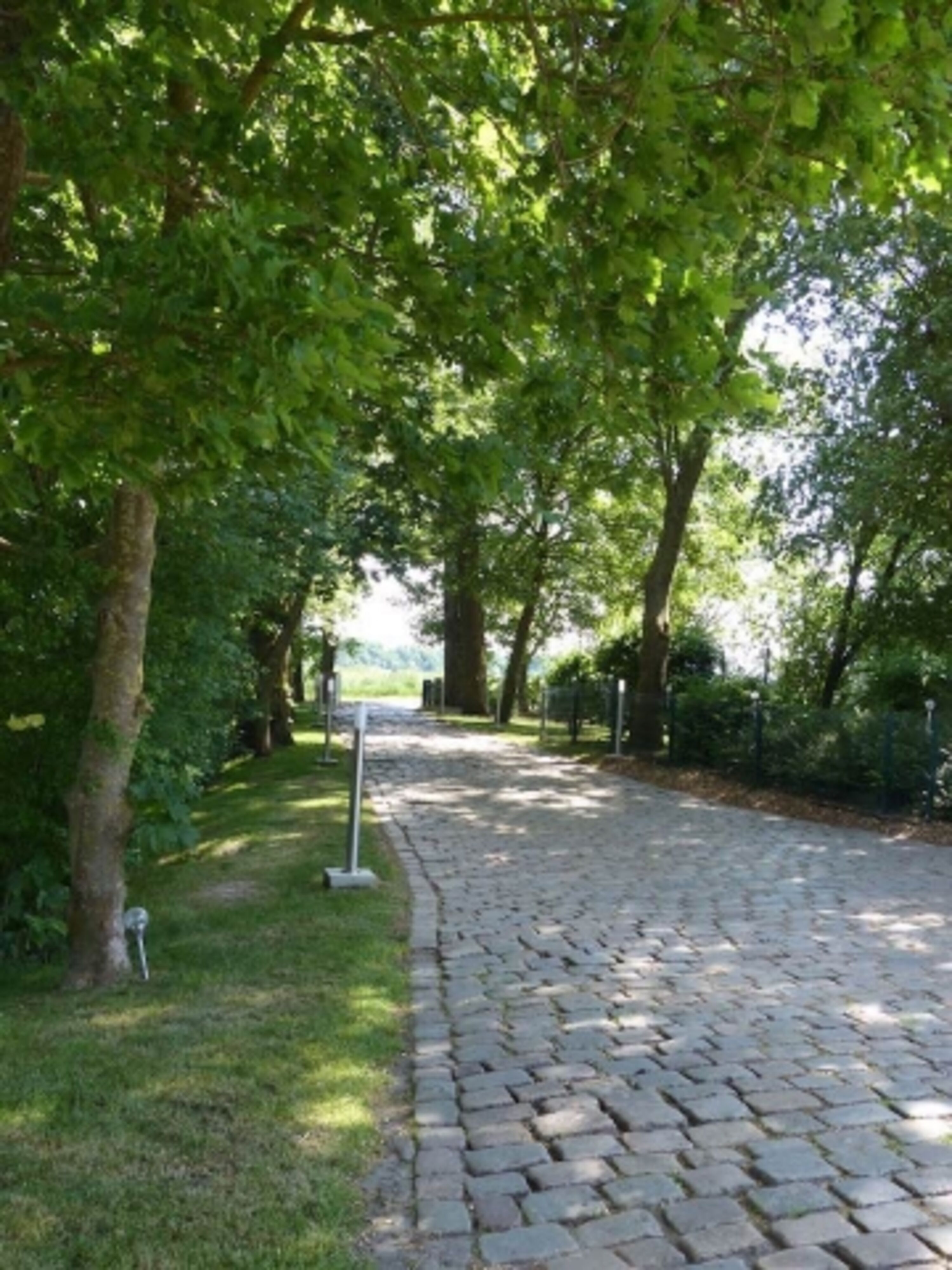 Bild 21