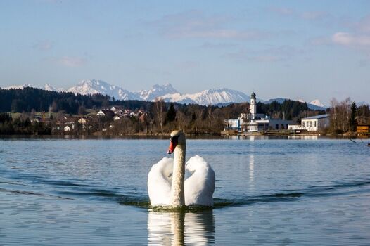 Lechsee