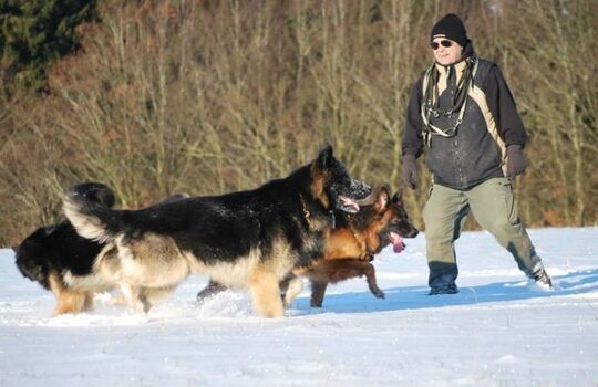 Unterwegs mit den Fellnasen