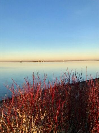 Blick zur Lotseninsel Schleimünde