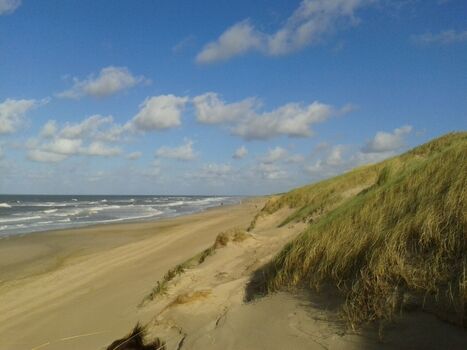 Sandstrand in Julianadorp aan Zee