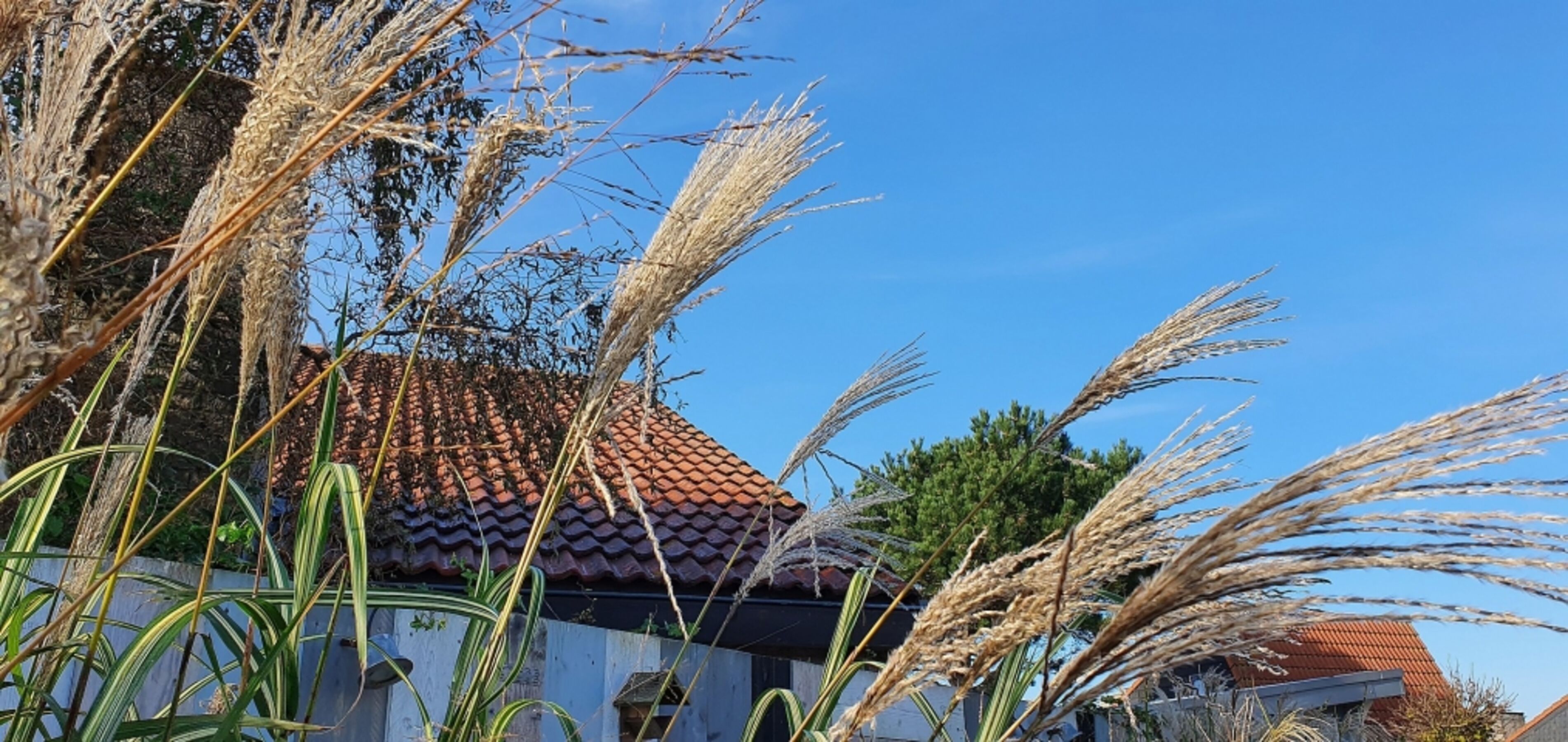 Gartenimpression