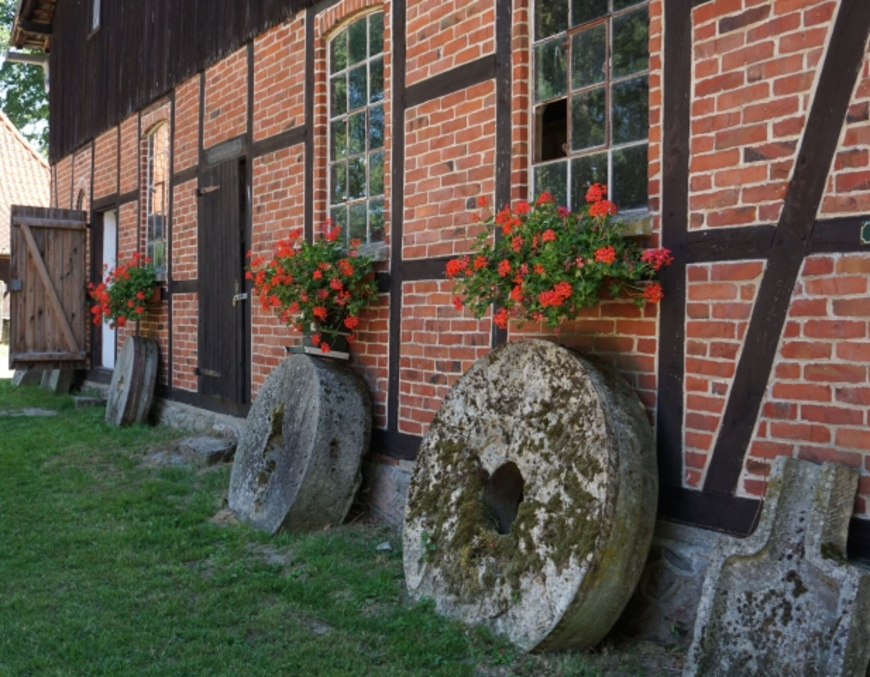 Bild 11