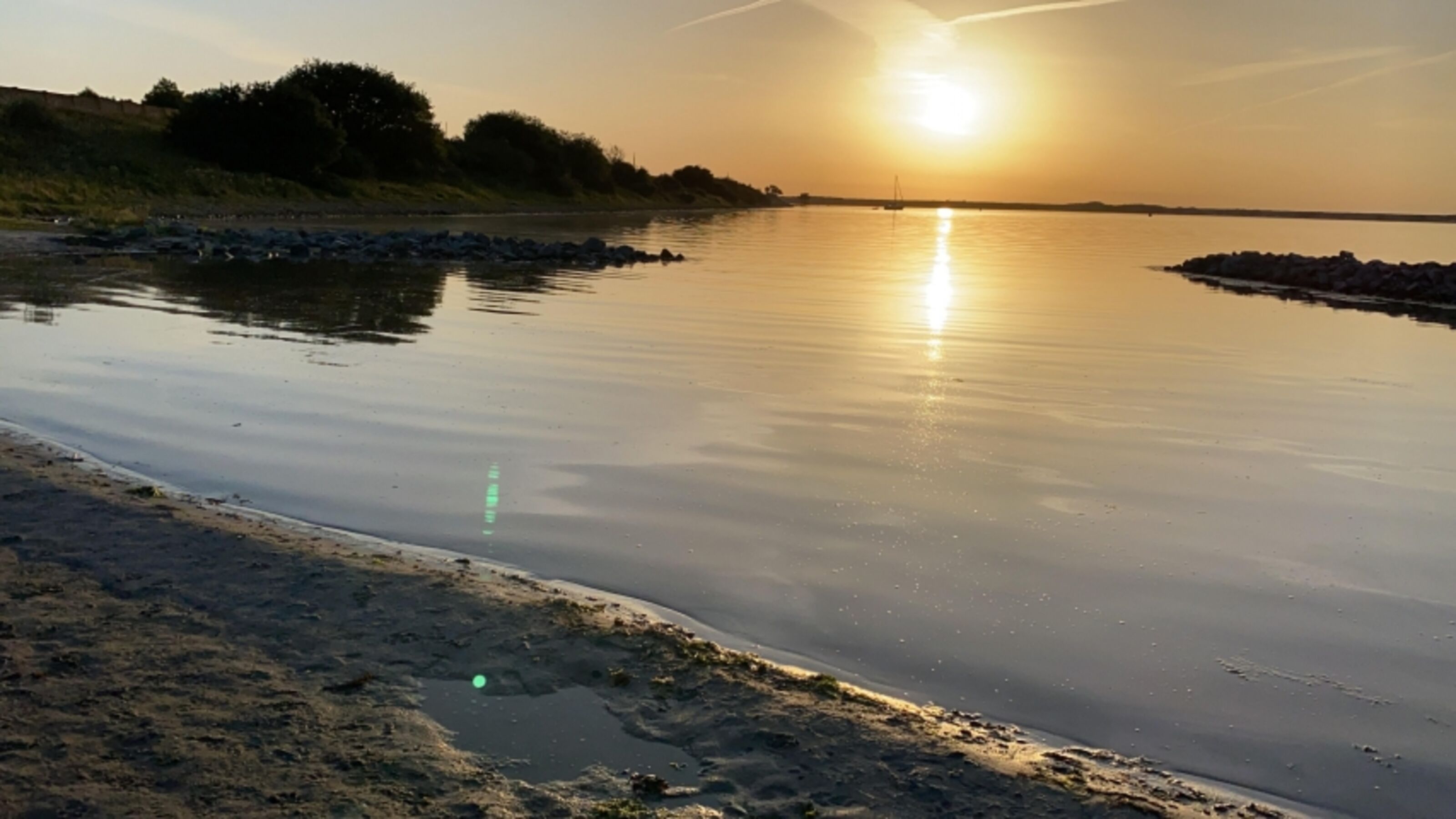 Hundestrand im 500 m