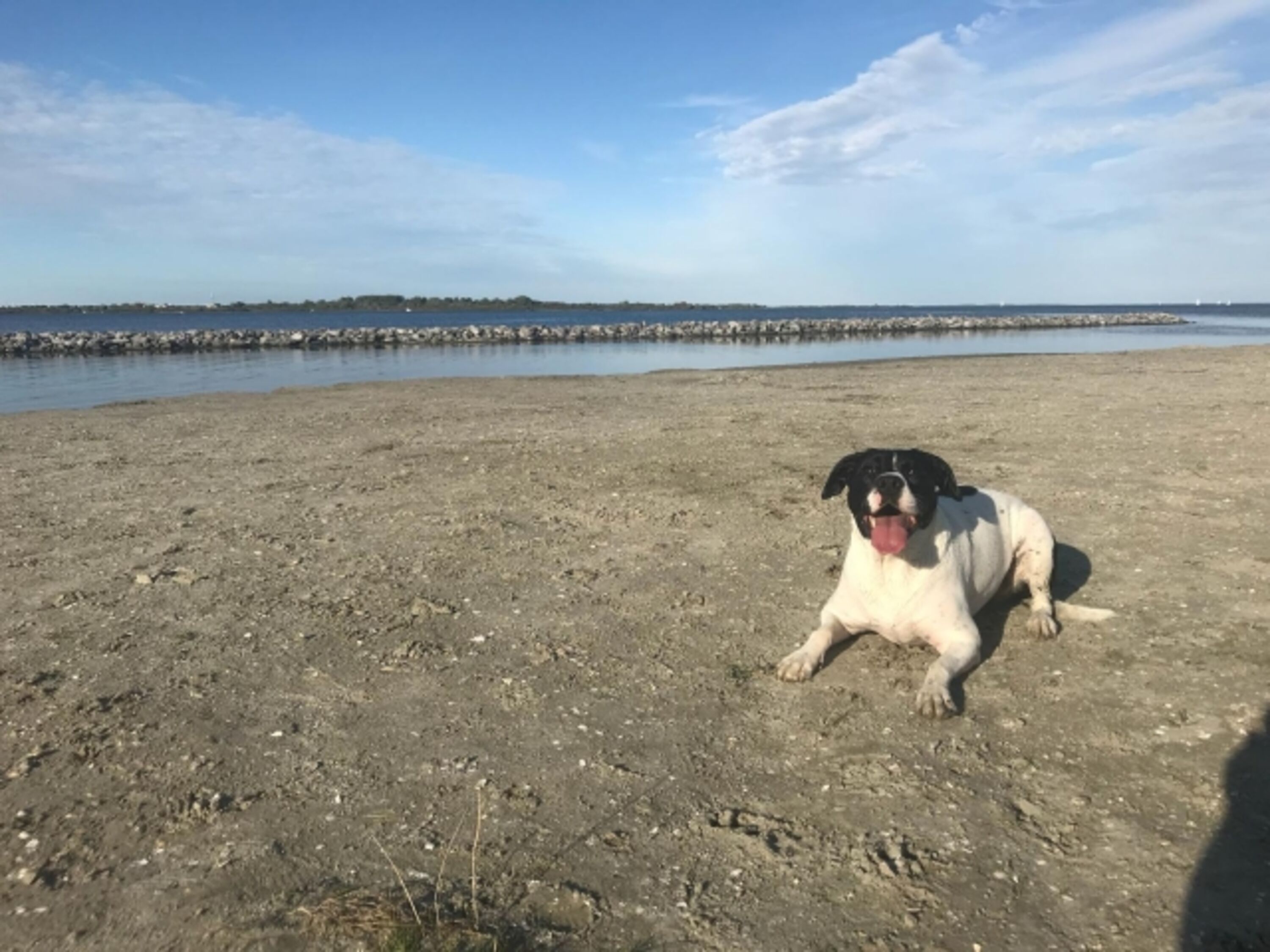 Hundestrand im 500 m