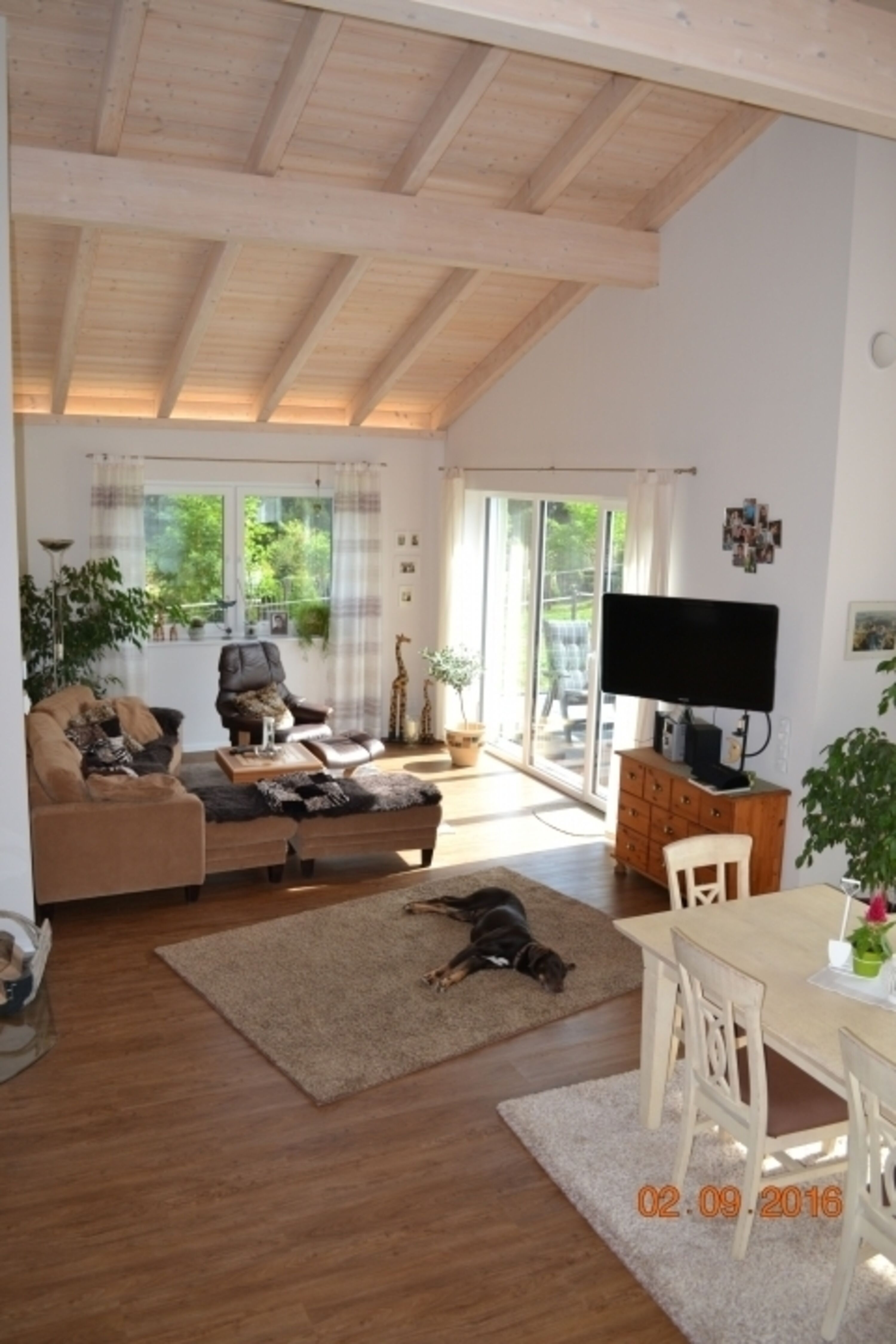Bild 7