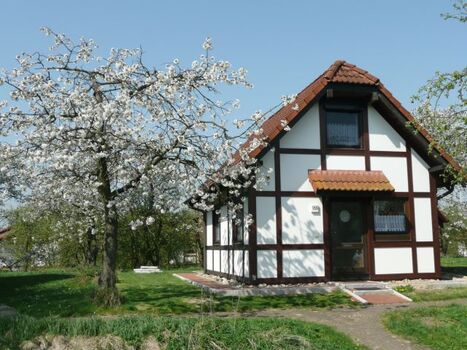 Hausbeispiel Deichgraf 65