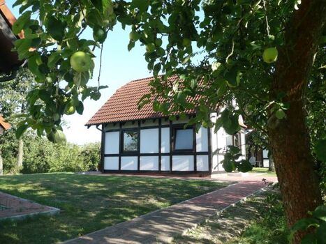 Hausbeispiel Deichgraf 65