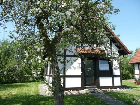 Hausbeispiel Deichgraf 65