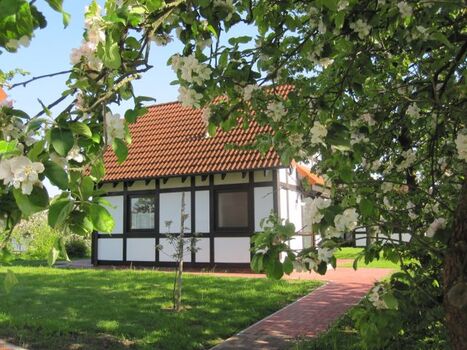 Hausbeispiel Deichgraf 65