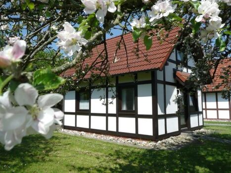 Hausbeispiel Deichgraf 65