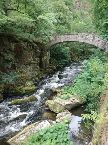 Jungfernbrücke Thale