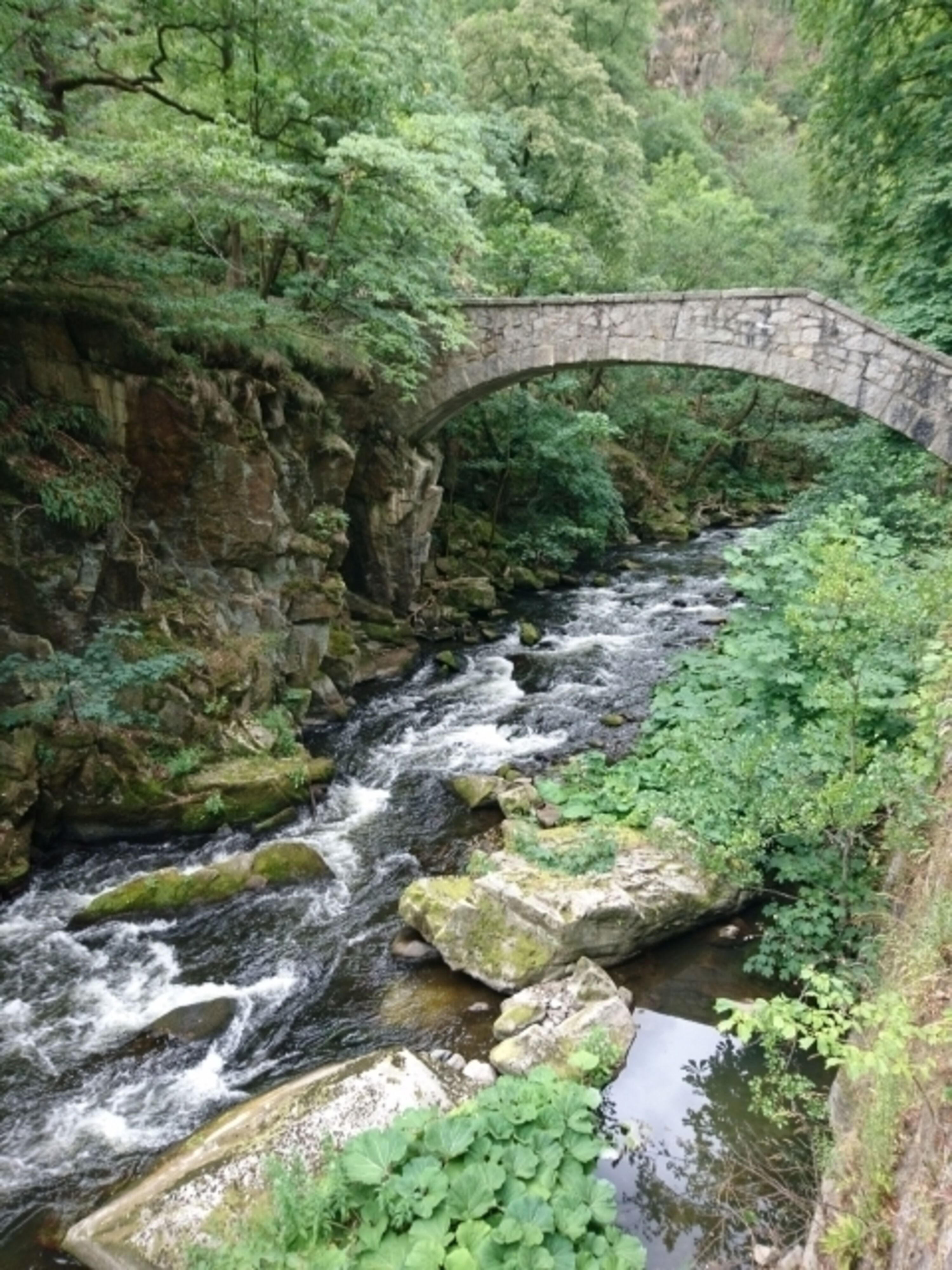 Jungfernbrücke Thale