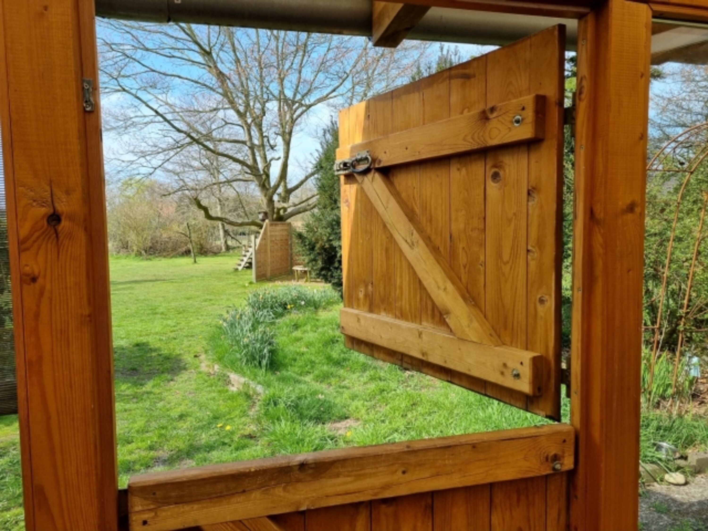 Blick in den Garten