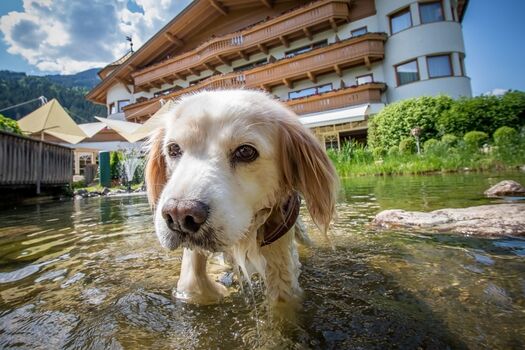 Hotel Magdalena****, Hundehotel in Österreich im Zillertal