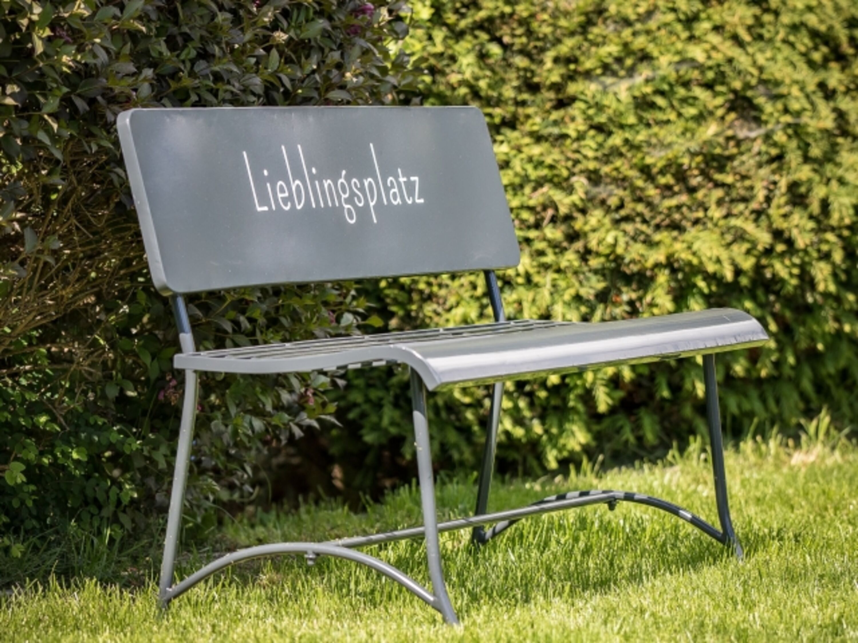 Bild 12