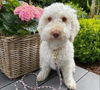 Wir sind herzlich willkommen!