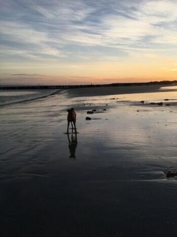 Sonnenuntergang am Strand