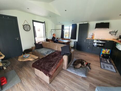 Wohnbereich mit Küche