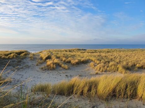 Dünen und Mee(h)r