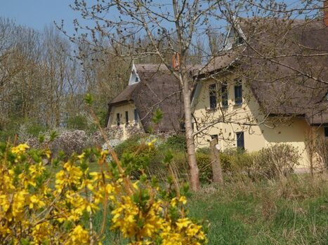 Blick in die Nachbarschaft (hinteres Haus is unseres)