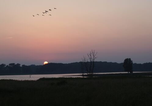 Abendstimmung im nahen Vogelschutzgebiet
