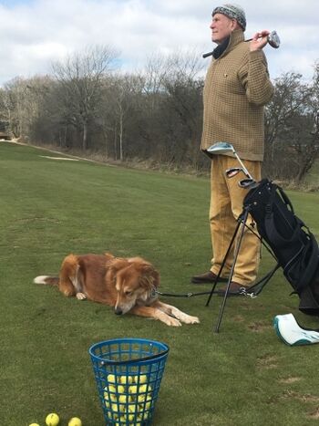Beach-Golf oder richtig Golfen, bei beiden darf Pito mitgehen