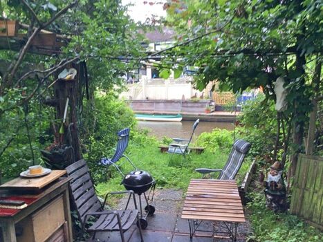 Das externe Paradies, der Obstgarten zum Rumtoben für den Hund