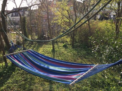 Unter Bäumen träumen, sich durch den Tag schaukeln im Garten