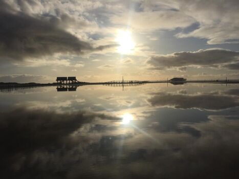 Sylt, St.Peter-Ording, Nordstrand, Büsum, Ebbe und Flut, Watt und Meer