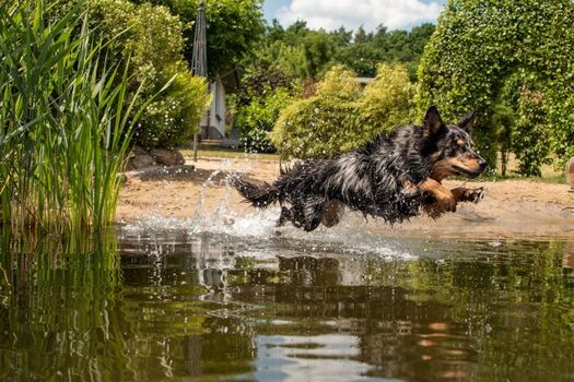 Badespaß für die Fellnasen