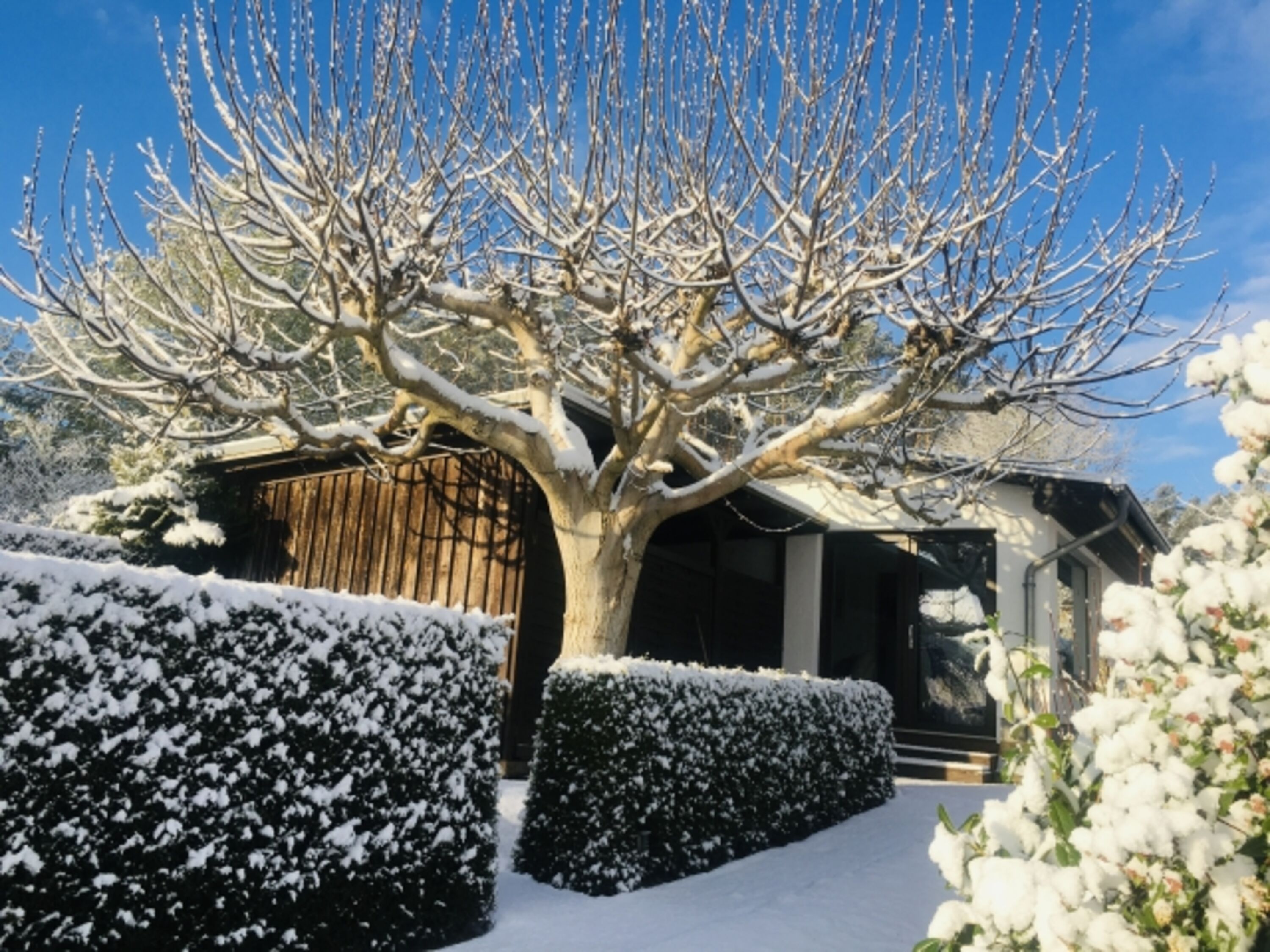 Winterzauber