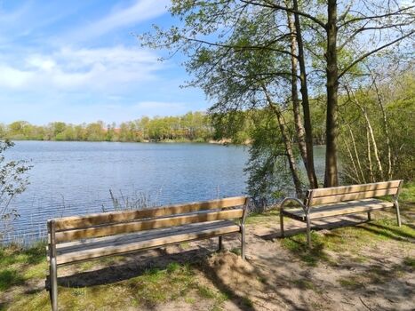 Ausblick auf den Kiessee