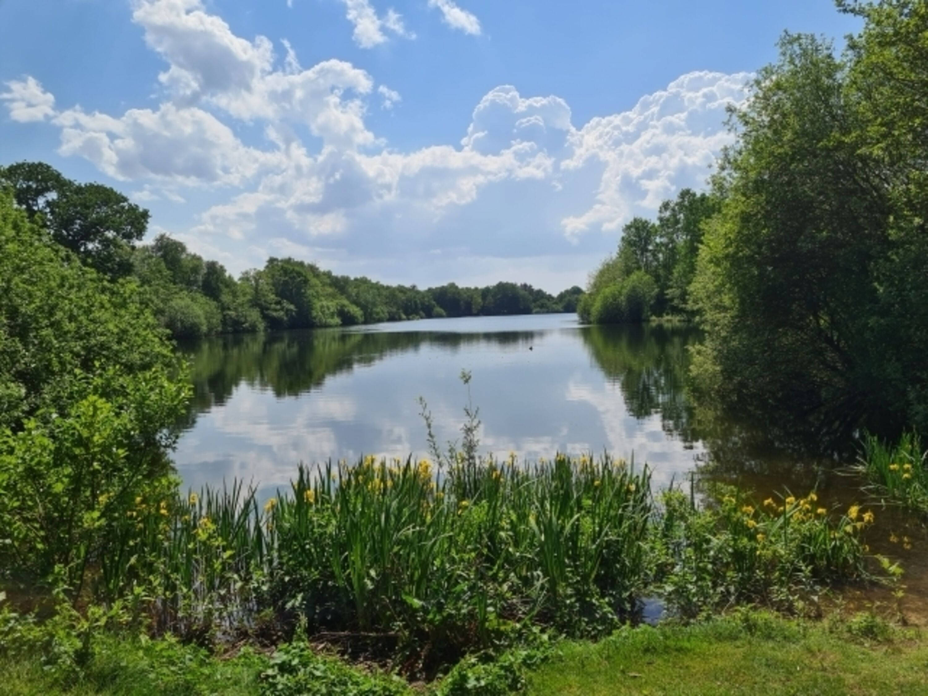 Der Kiessee 