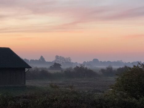 Blick vom Balkon frühmorgens