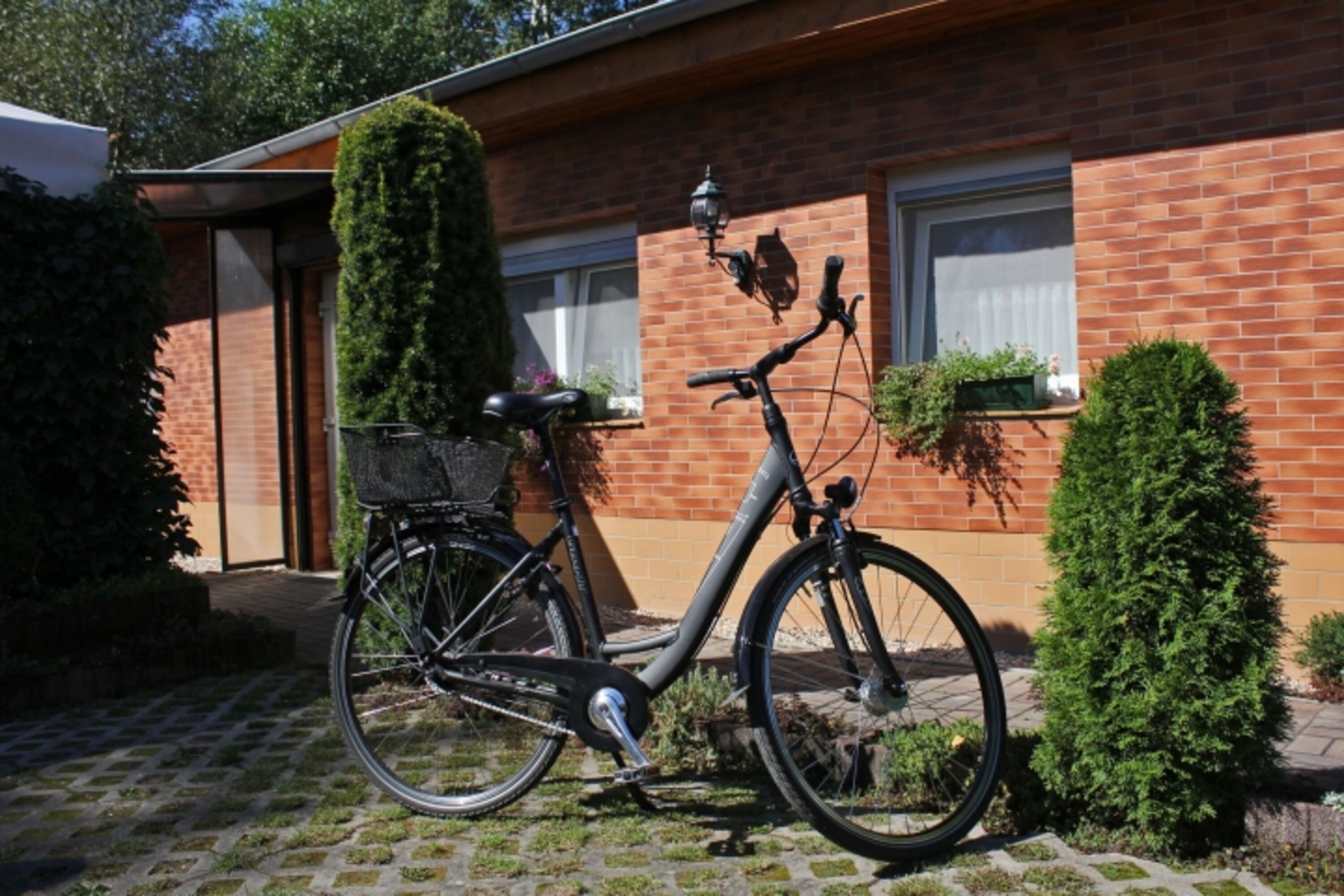 Bild 20