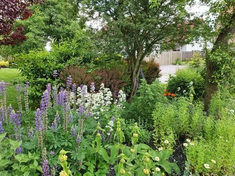 Romantischer Staudengarten