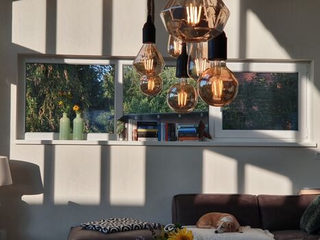 Impressionen im Abendlicht